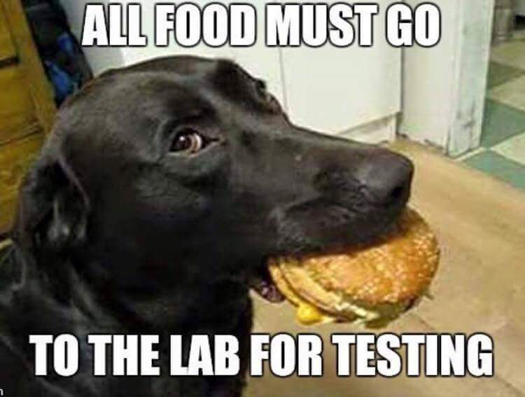 all food must go to the lab - Allfood Must Go To The Lab For Testing
