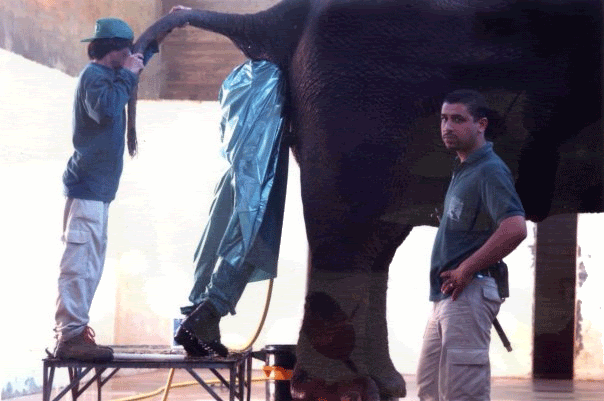 25 People With Way Worse Jobs Than You