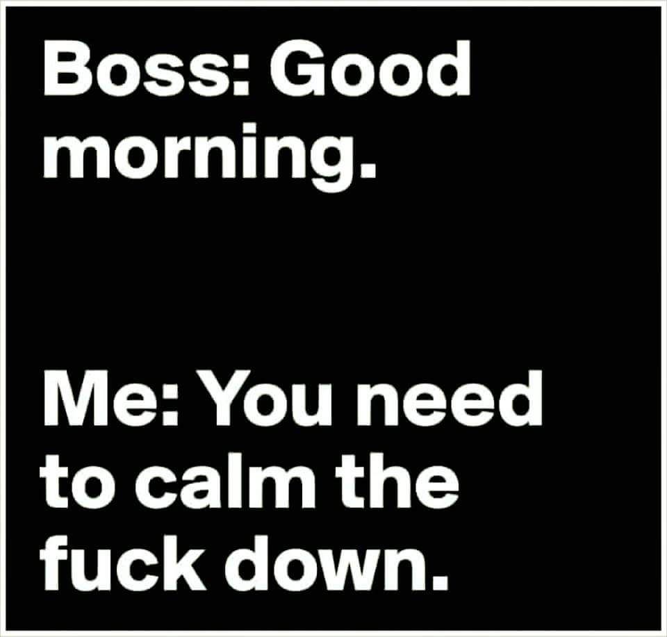 boss say good morning - Boss Good morning. Me You need to calm the fuck down.