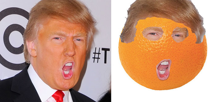 trump meme of donald trump as an orange