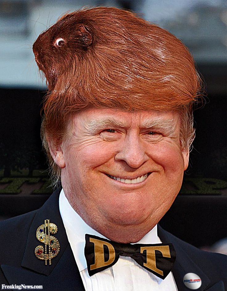 trump meme of donald trump red hair