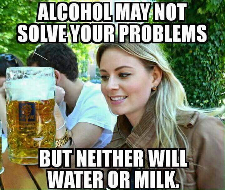 have a great weekend meme - Alcoholmay Not Solve Your Problems But Neither Will Water Or Milki