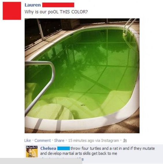 green swimming pool meme - Lauren Why is our Pool This Color? Comment 15 minutes ago via Instagram Chelsea throw four turtles and a rat in and if they mutate and develop martial arts skills get back to me