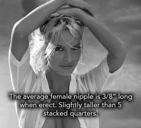 amazing boobs fact - The average female nipple is 38" long when erect. Slightly taller than 5 stacked quarters.