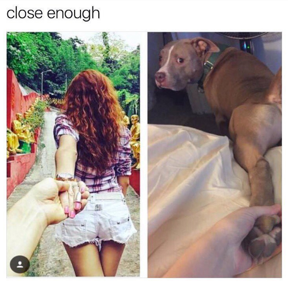 memes - close enough, girl holding boyfriends hand and touching dogs paw