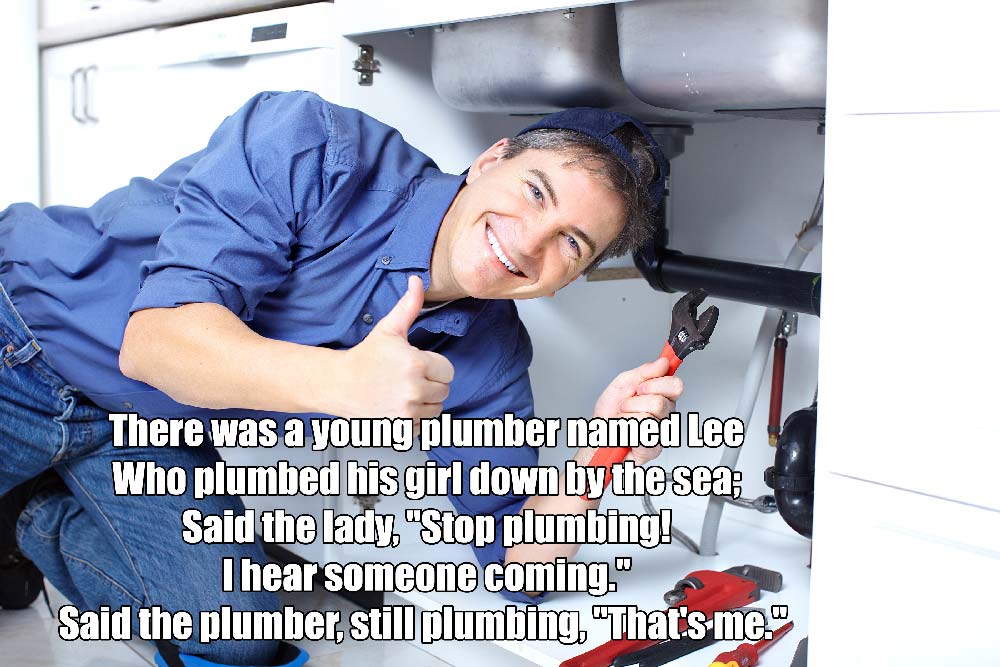 There was a young plumber named Lee Who plumbed his girl down by the sea; Said the lady. "Stop plumbing! I hear someone coming." Said the plumber, still plumbing. "That's me."