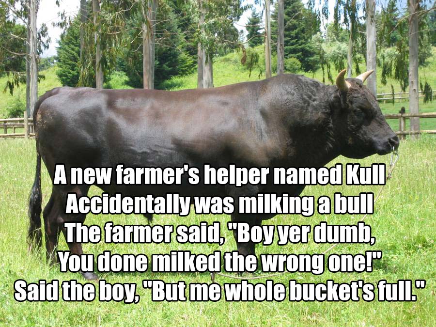 wagyu beef cow - A new farmer's helper named Accidentally was milking a bull The farmer said, "Boyyer dumb, You done milked the wrong one!" Said the boy, "But me whole bucket's full."