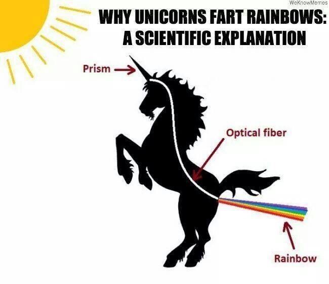 unicorns fart rainbows - WeKnow Memes Why Unicorns Fart Rainbows A Scientific Explanation Prism Optical fiber Rainbow