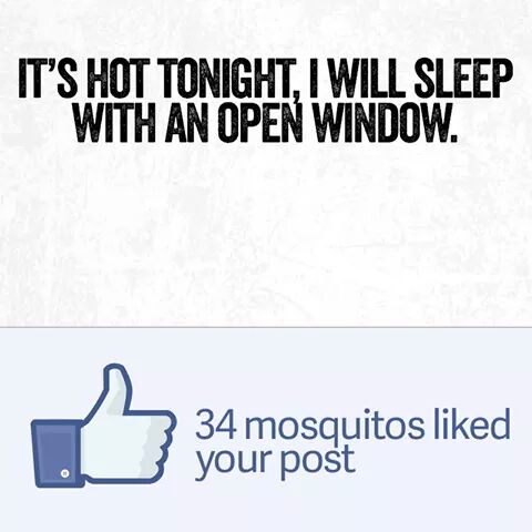 me gusta facebook - It'S Hot Tonight, I Will Sleep With An Open Window. 34 mosquitos d your post