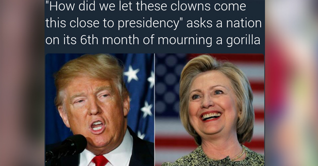 harambae memes - "How did we let these clowns come this close to presidency" asks a nation on its 6th month of mourning a gorilla