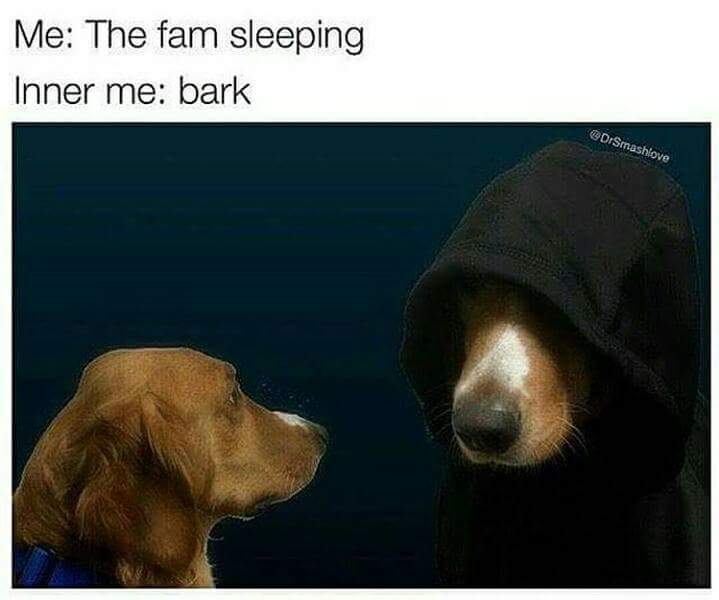 Evil inner dog meme about barking when the whole family is sleeping