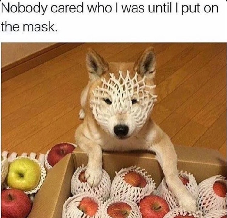 cool chop liver meme - Nobody cared who I was until I put on the mask.