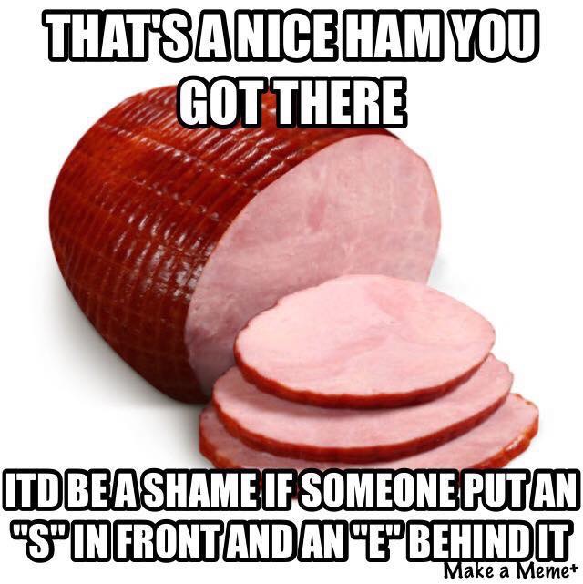 cool that's a nice ham you got there - That'S A Nice Ham You Got There Itd Be Ashame If Someone Putan "S" In Frontandanebehind It Make a Meme
