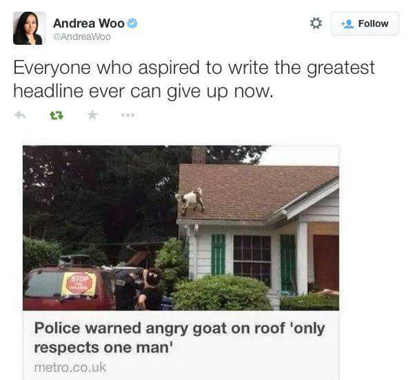 police warned angry goat on roof - Andrea Woo QAndreaWoo Everyone who aspired to write the greatest headline ever can give up now. Police warned angry goat on roof 'only respects one man' metro.co.uk