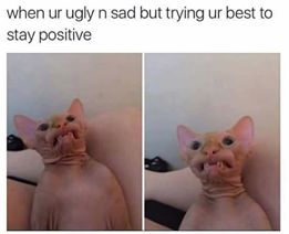 memes - sad ugly memes - when ur ugly n sad but trying ur best to stay positive