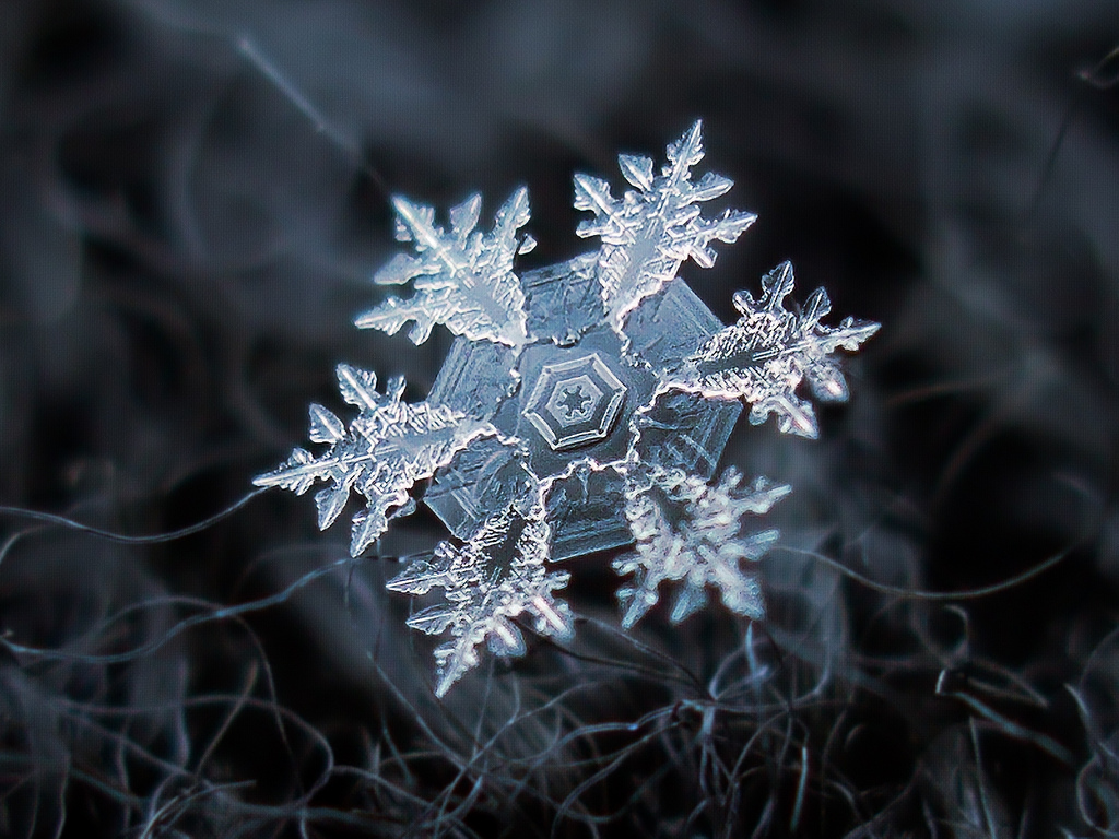 macro photo of snowflakes
