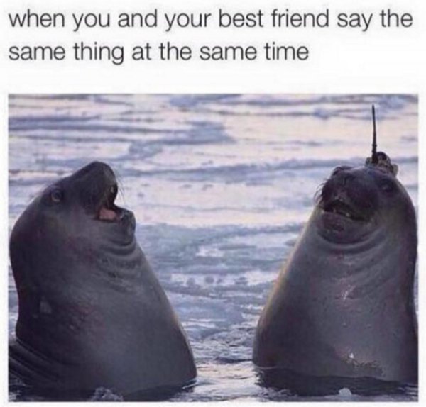 memes - u and ur best friend say - when you and your best friend say the same thing at the same time