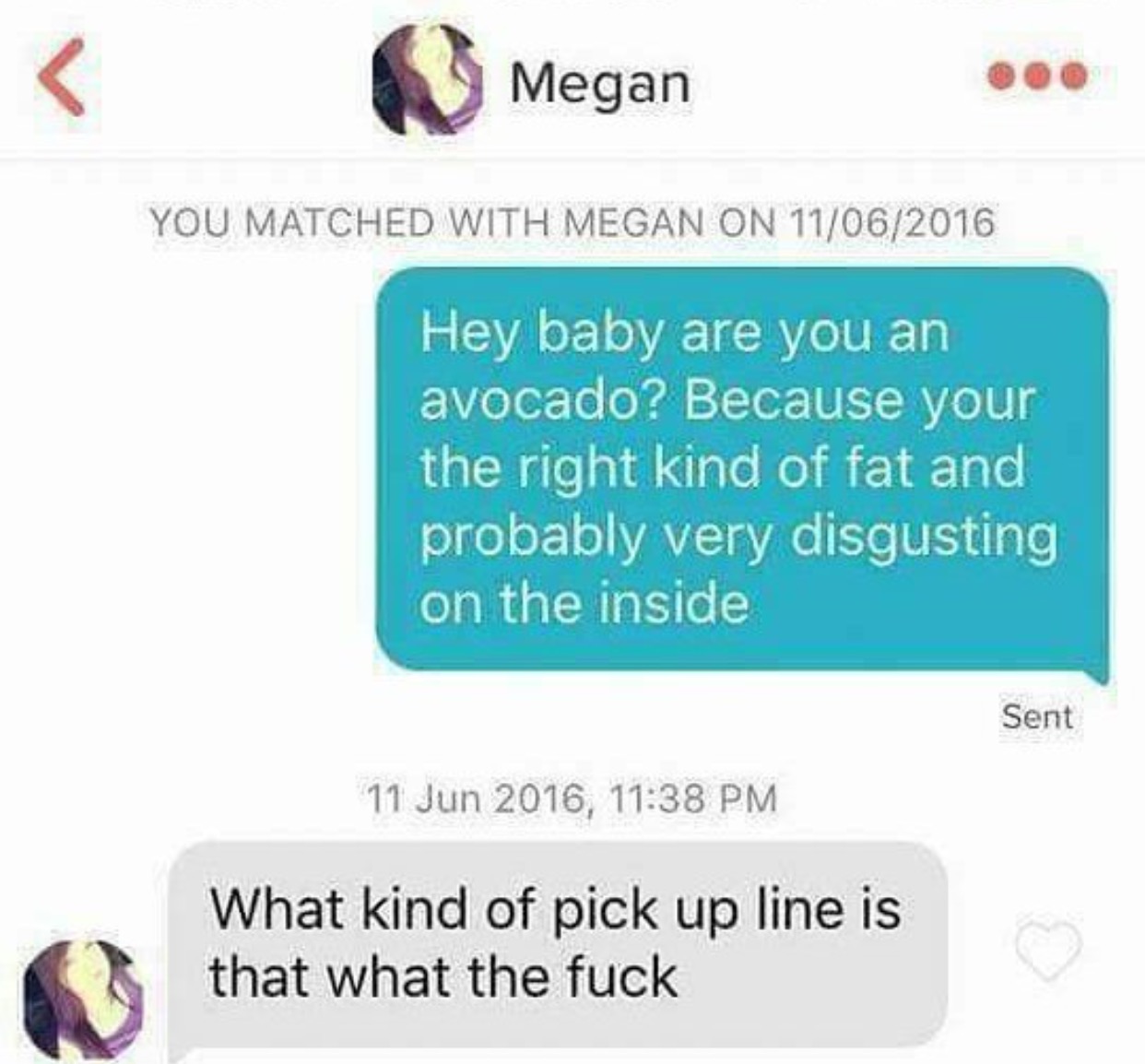 noelle puns - Megan You Matched With Megan On 11062016 Hey baby are you an avocado? Because your the right kind of fat and probably very disgusting on the inside Sent , What kind of pick up line is that what the fuck