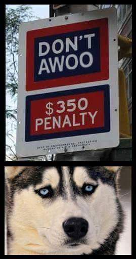 hotel chelsea - Don'T Awoo $350 Penalty