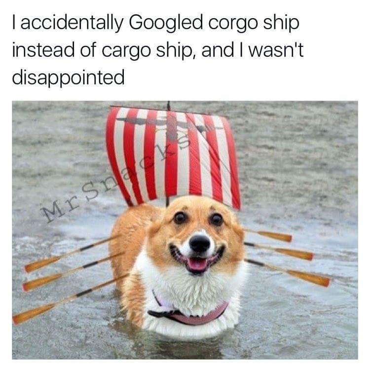 corgo boat - Taccidentally Googled corgo ship instead of cargo ship, and I wasn't disappointed MrSnac