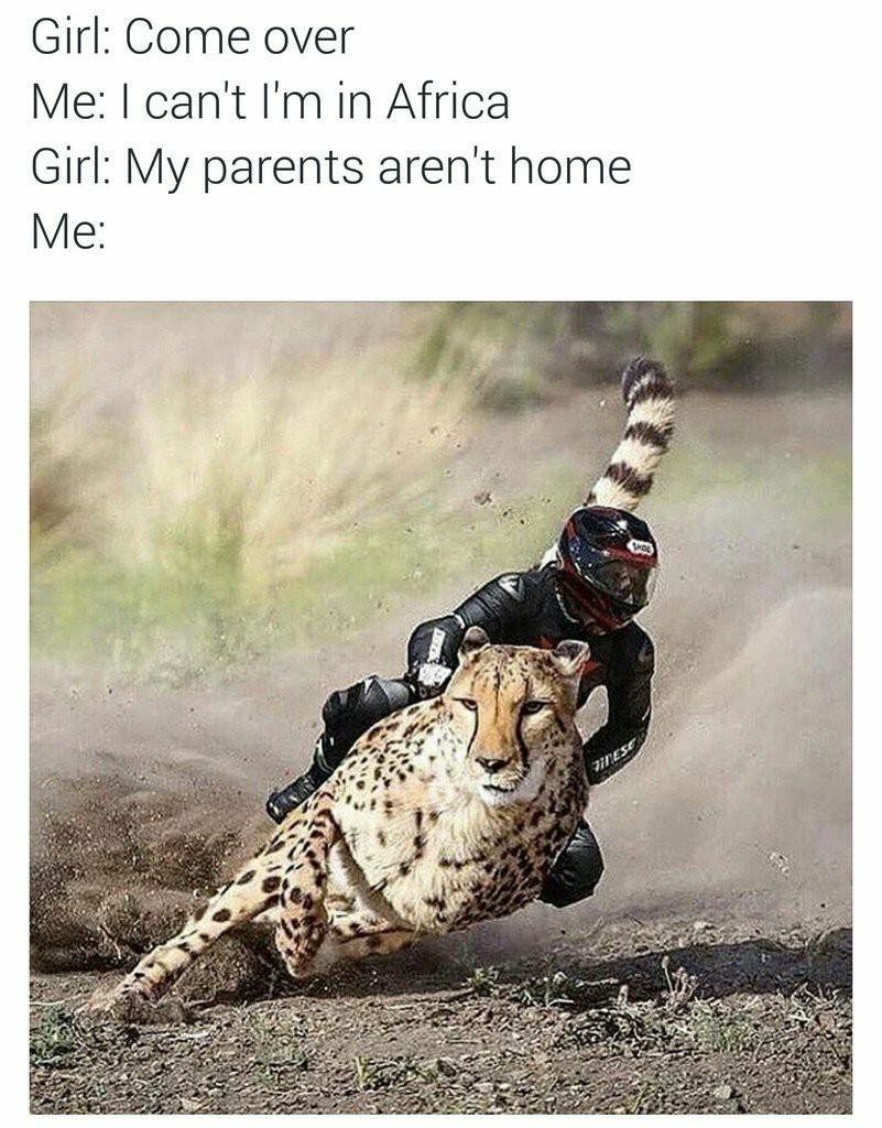 my parents aren t home meme - Girl Come over Me I can't I'm in Africa Girl My parents aren't home Me