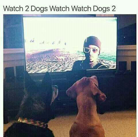 2 dogs watch dogs 2 - Watch 2 Dogs Watch Watch Dogs 2