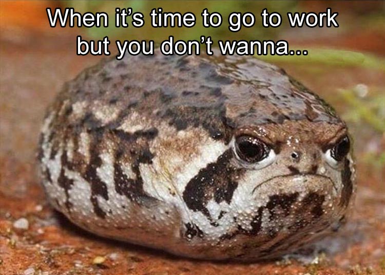 christmas pics and memes - hate toad - When it's time to go to work but you don't wanna...