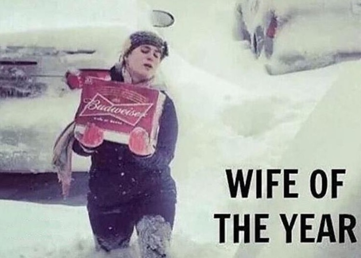 christmas pics and memes - budweiser memes - Budweiser Wife Of The Year