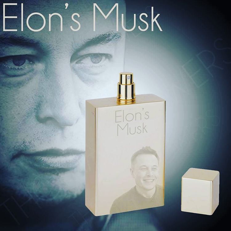 elons musk - Elon's Musk Elons Musk