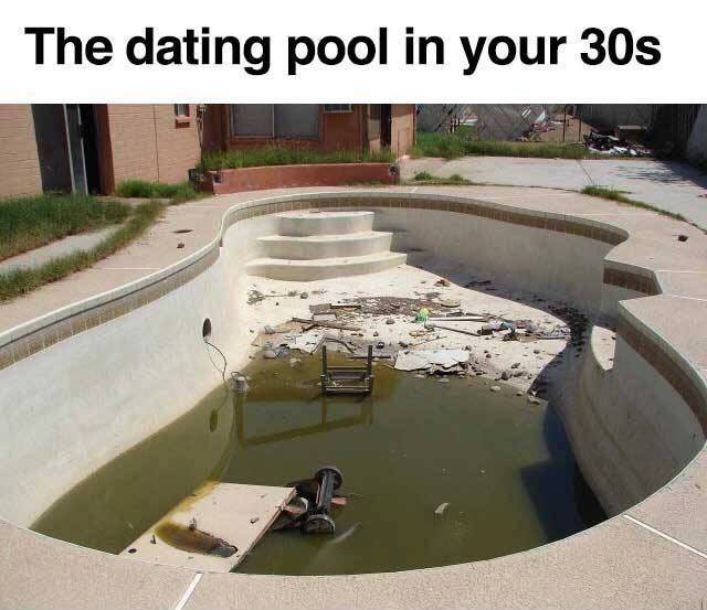 memes - dating pool in your 30s meme - The dating pool in your 30s