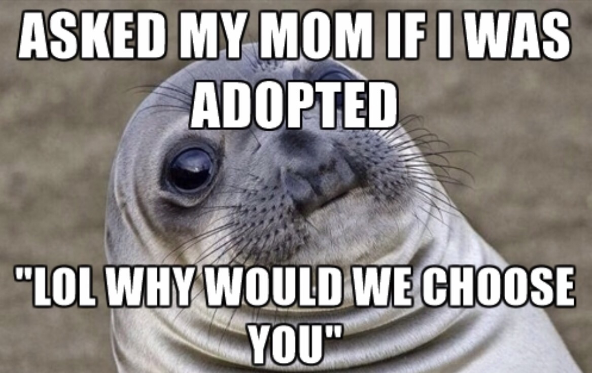 seal memes - Asked My Mom If I Was Adopted "Lol Why Would We Choose You"