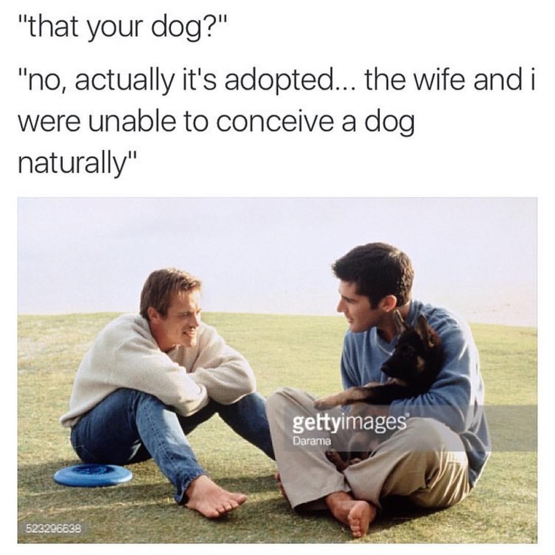 unable to conceive a dog meme - "that your dog?" "no, actually it's adopted... the wife and i were unable to conceive a dog naturally" gettyimages Darama 523296638