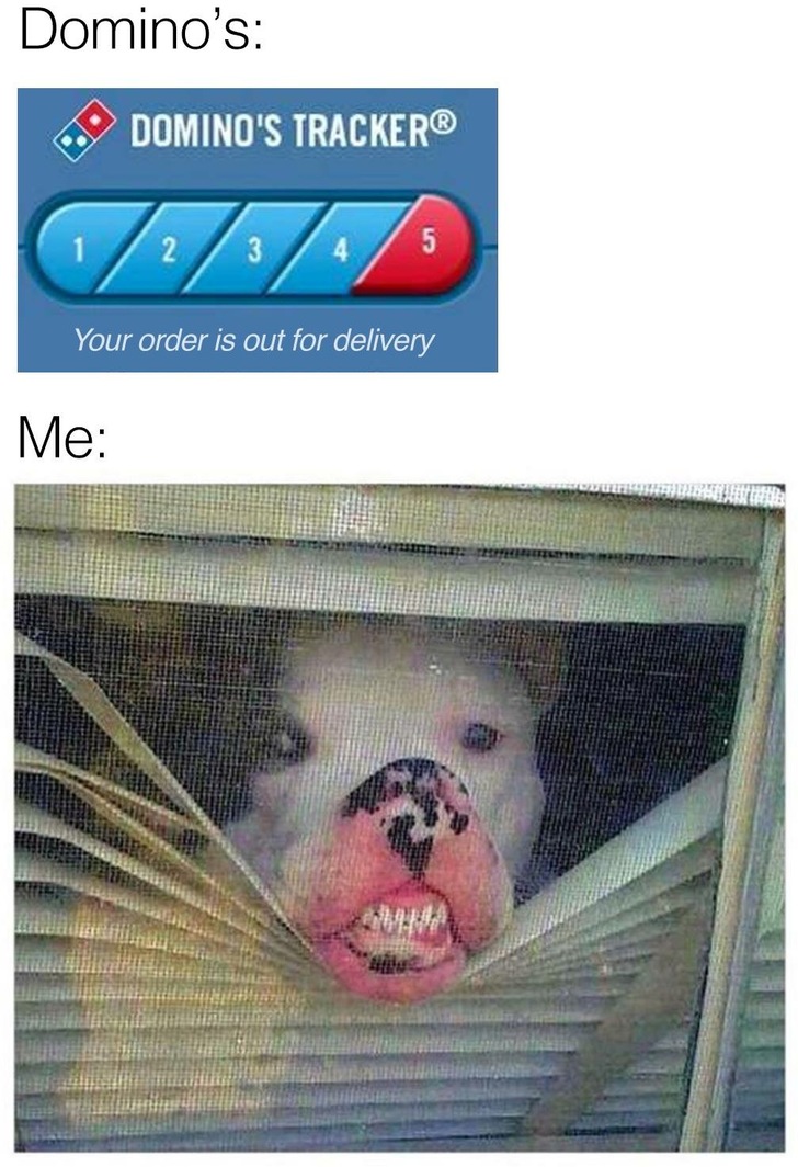 dominos tracker meme - Domino's 69 Domino'S Tracker Your order is out for delivery Me