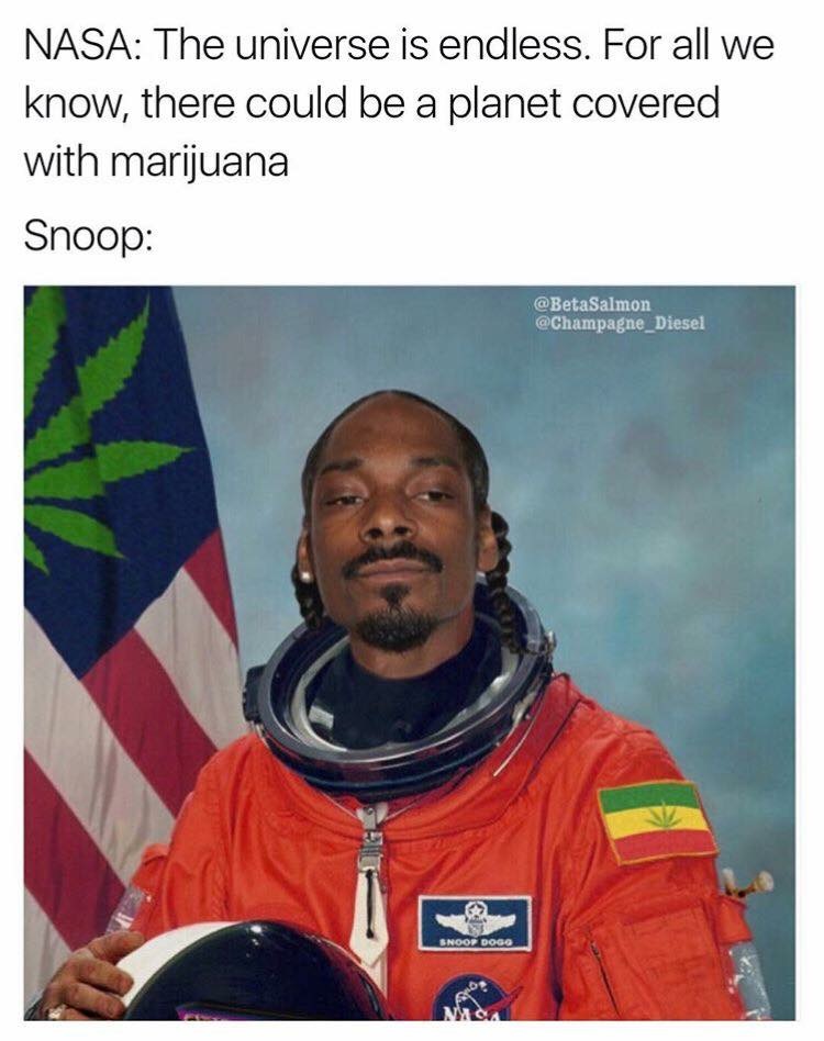 weed memes - Nasa The universe is endless. For all we know, there could be a planet covered with marijuana Snoop Snoop Dogg