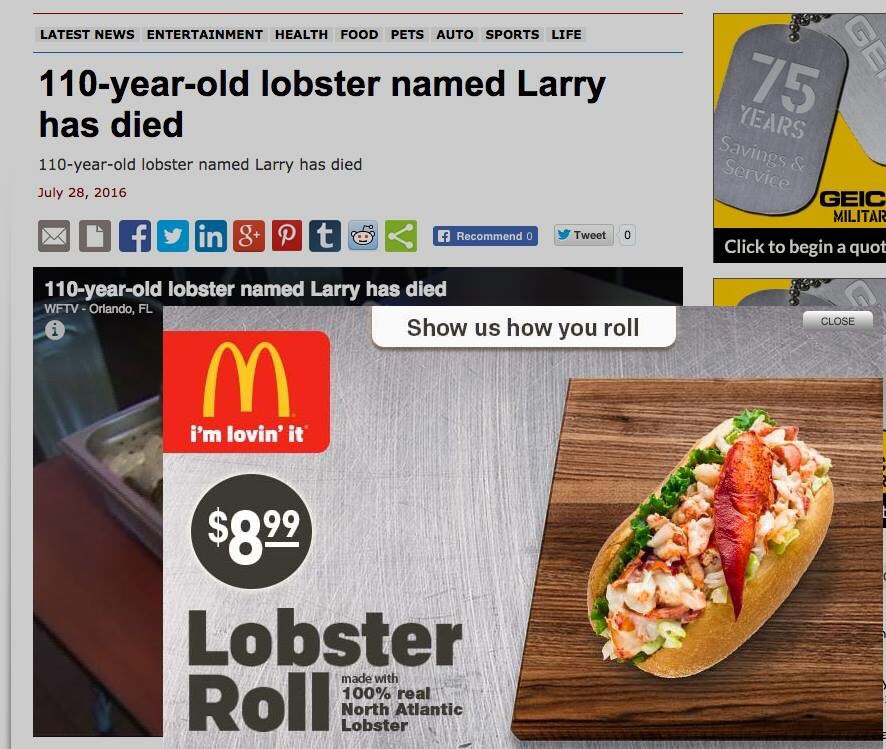 fast food - Latest News Entertainment Health Food Pets Auto Sports Life 110yearold lobster named Larry has died Years Savings & Service 110yearold lobster named Larry has died O fg in & a t Recommend Oy Tweet Geic Militar Click to begin a quot 110yearold