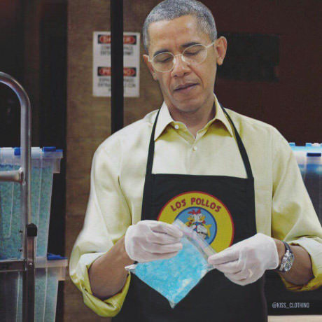 obama new job -