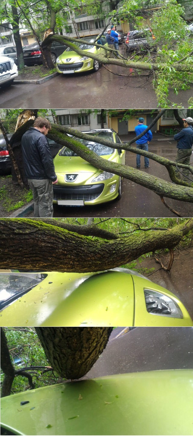 tree barely misses car - W
