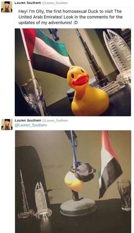 olly the duck - Lauren Southern Hey! I'm Olly, the first homosexual Duck to visit The United Arab Emirates! Look in the for the updates of my adventures! D Lauren Southern Lauren Southern