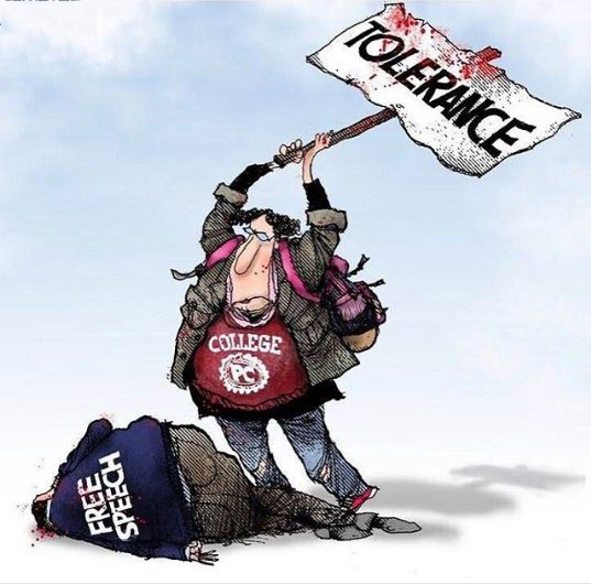 Ironic and funny cartoon of a demonstrator with a sign for tolerance beating another protester with Free Speech on his jacket