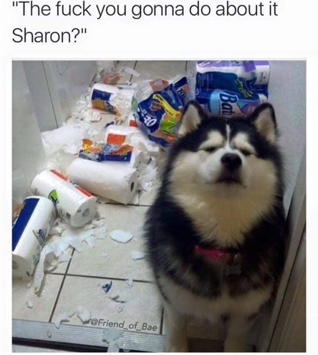 memes - fuck you going to do - "The fuck you gonna do about it Sharon?" Bat