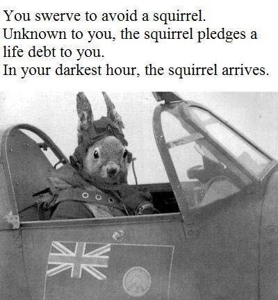 you swerve to avoid a squirrel - You swerve to avoid a squirrel. Unknown to you, the squirrel pledges a life debt to you. In your darkest hour, the squirrel arrives.