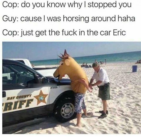random horsing around meme - Cop do you know why I stopped you Guy cause I was horsing around haha Cop just get the fuck in the car Eric By Count 'Riff