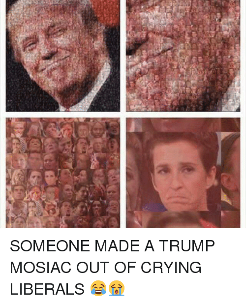 funny memes, hilarious, funny jokes - trump mosaic crying liberals - Someone Made A Trump Mosiac Out Of Crying Liberals