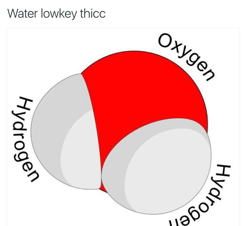funny memes, hilarious, funny jokes - water lowkey thicc - Water lowkey thicc oxygen Hydrogen Hydrog.