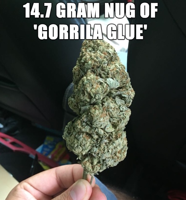 mineral - 14.7 Gram Nug Of "Gorrila Glue