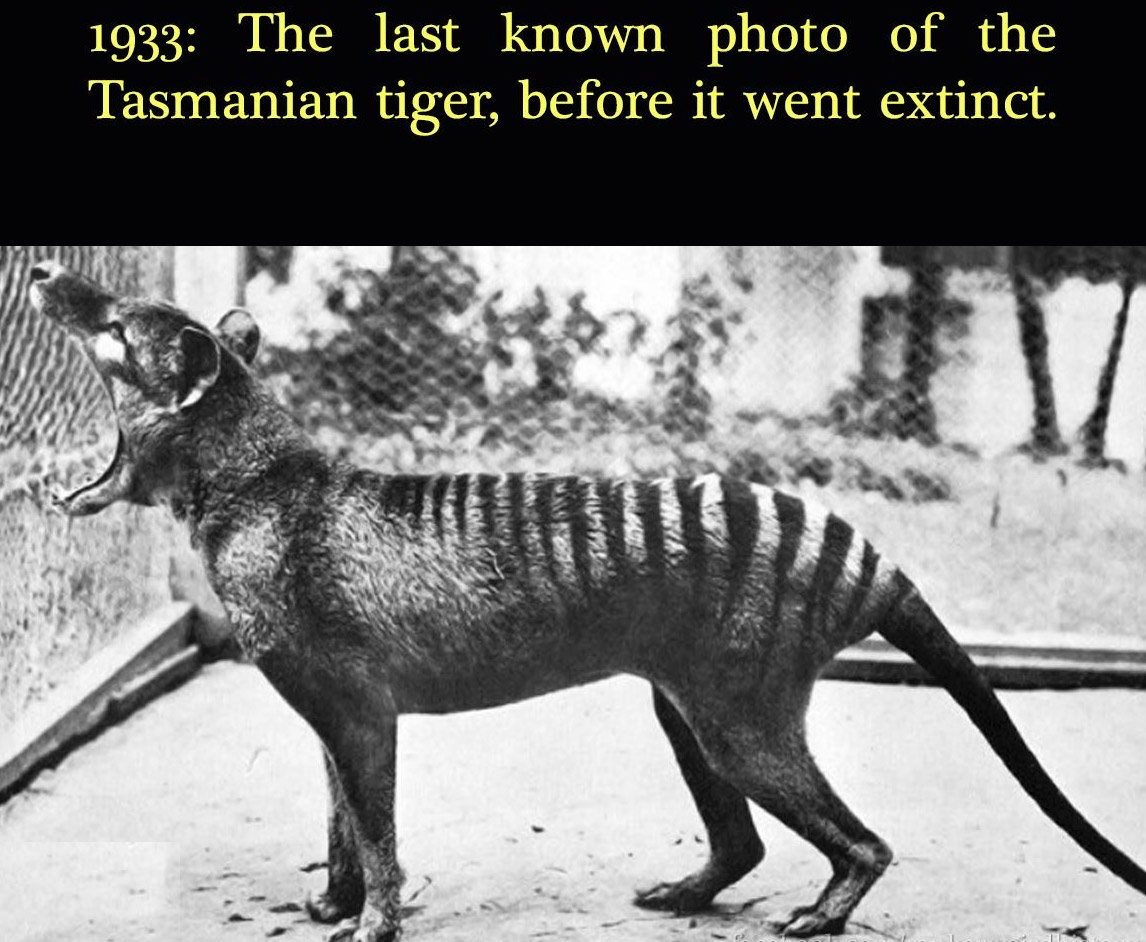 17 Rare Historical Photos That Will Take You Back In Time