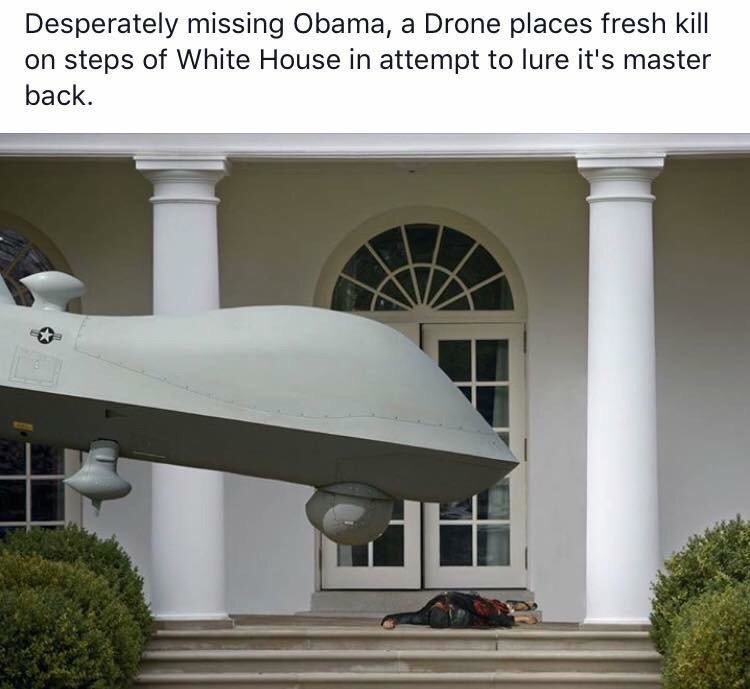 obama drone meme - Desperately missing Obama, a Drone places fresh kill on steps of White House in attempt to lure it's master back.