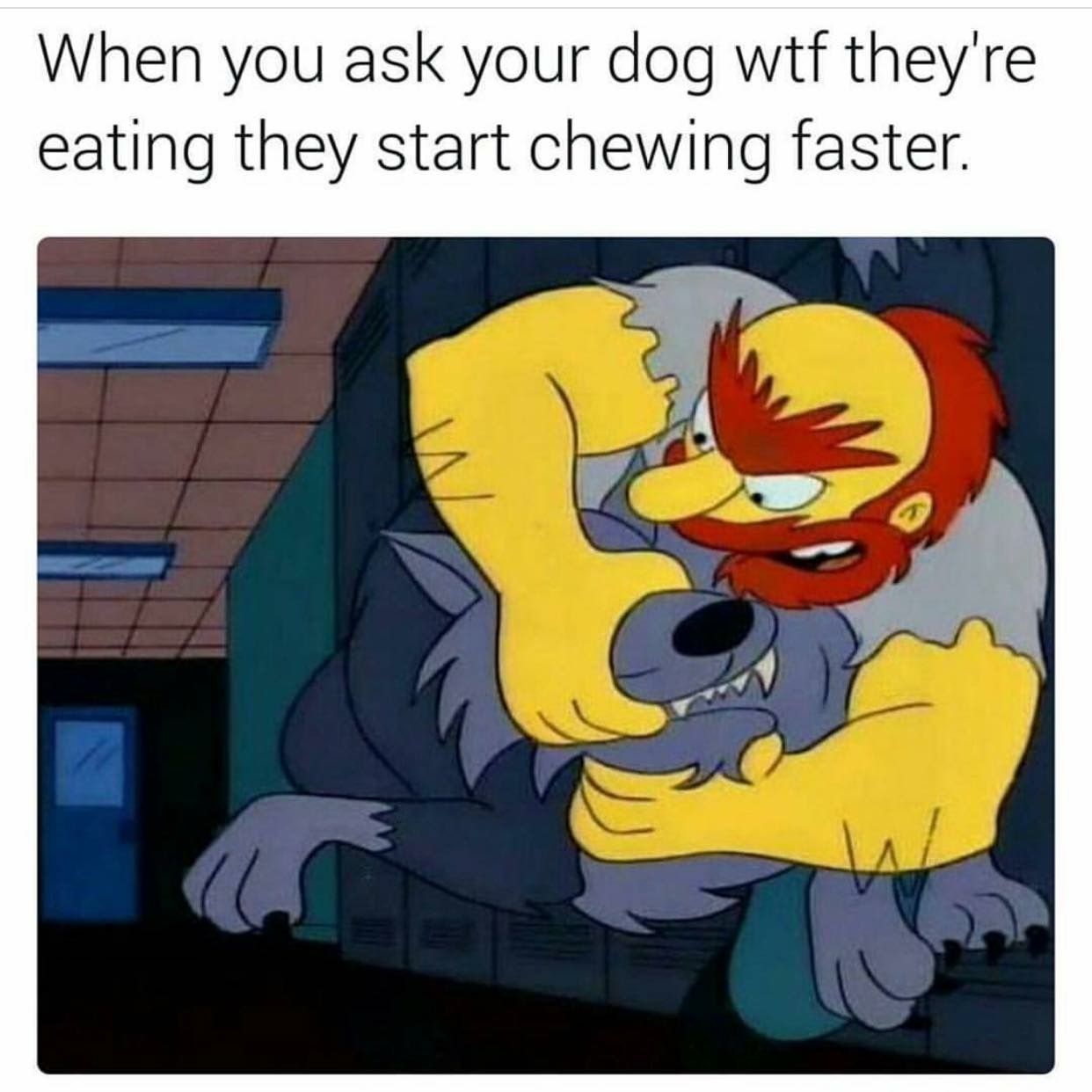 you ask your dog what they re eating and they start chewing faster - When you ask your dog wtf they're eating they start chewing faster.
