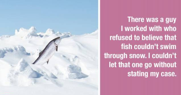 arctic - There was a guy I worked with who refused to believe that fish couldn't swim through snow. I couldn't let that one go without stating my case.