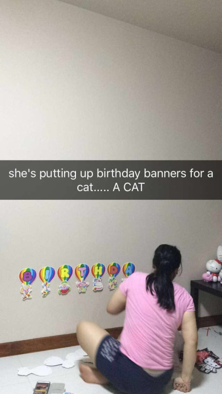 shoulder - she's putting up birthday banners for a cat..... A Cat